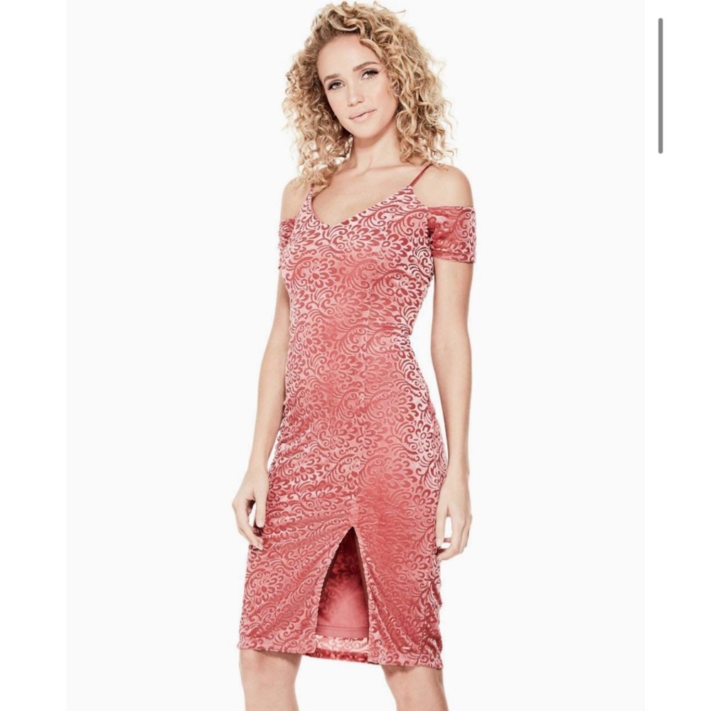 💖NWT GUESS Zora Velvet Burnout Floral Dress💖